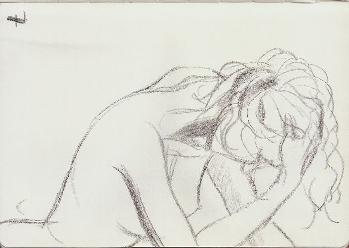 model study 2019