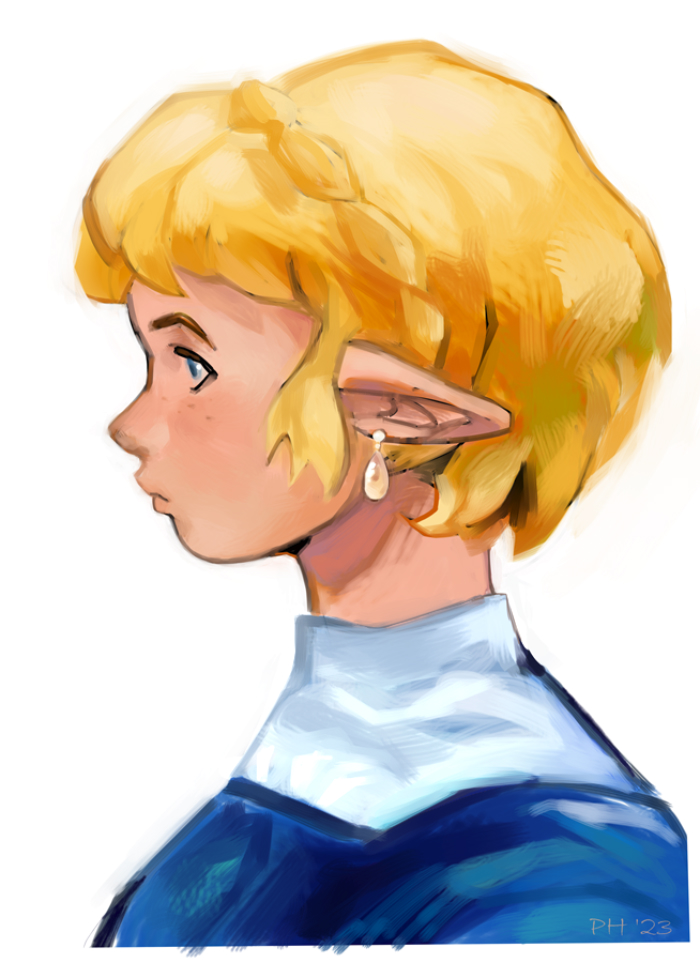 legend of zelda fanart of zelda