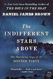 the indifferent stars above book cover