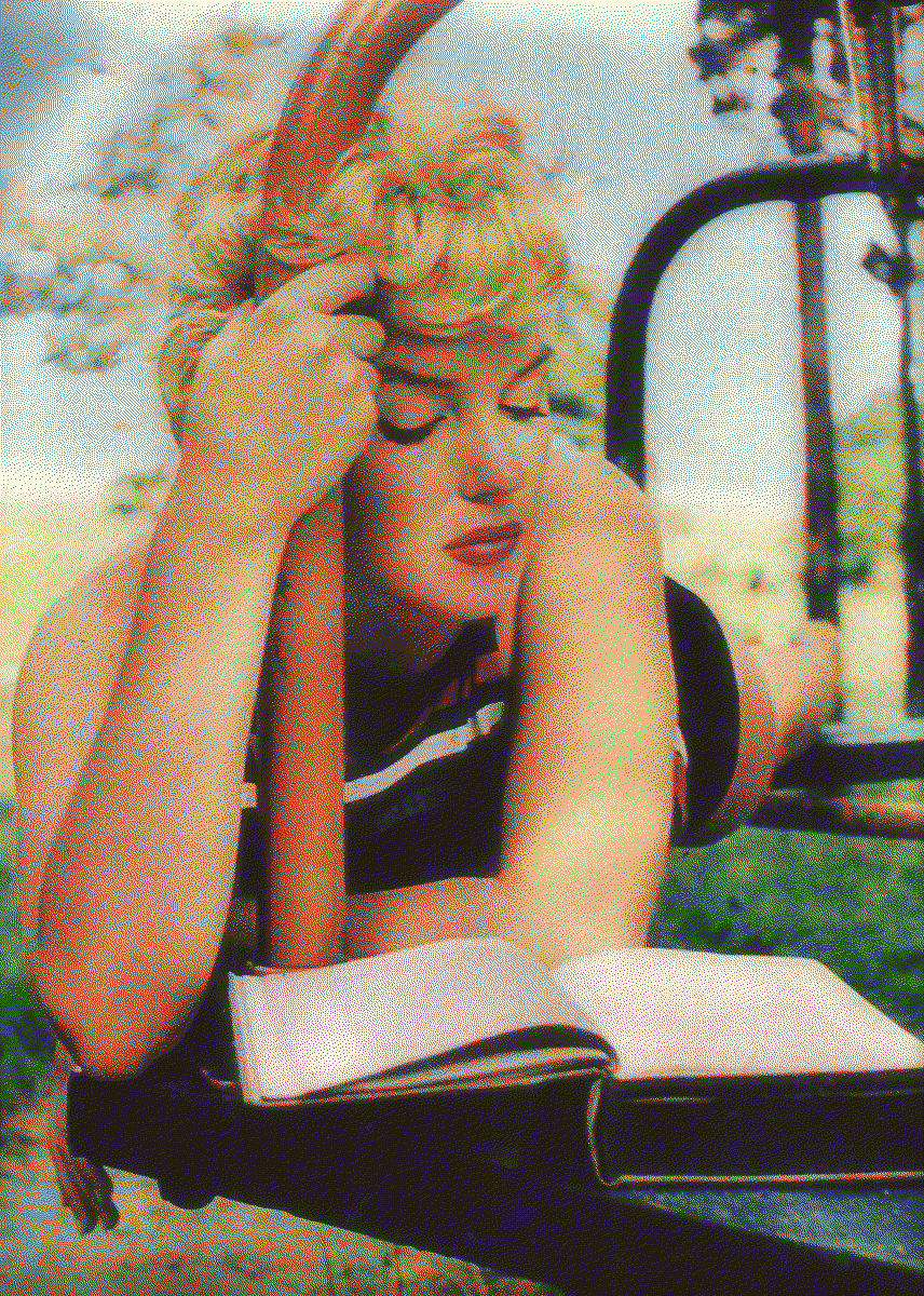 marilyn monroe reading book on playground